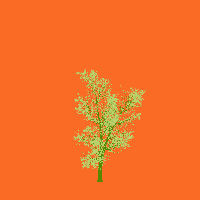 greenshift tree