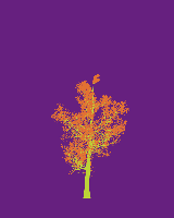 greenshift tree