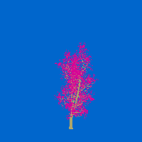 greenshift tree