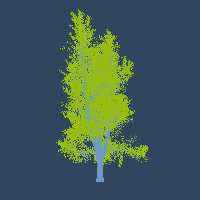 greenshift tree