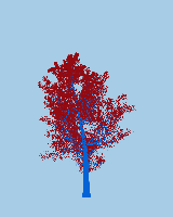 greenshift tree