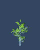 greenshift tree