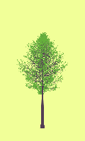 greenshift tree