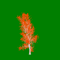 greenshift tree