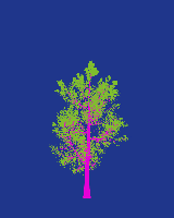 greenshift tree