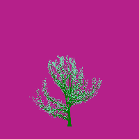 greenshift tree
