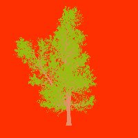 greenshift tree