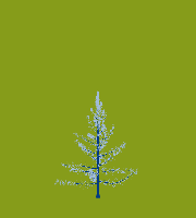 greenshift tree