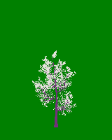 greenshift tree