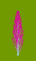 greenshift tree