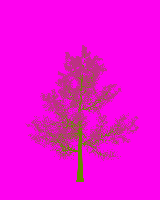 greenshift tree