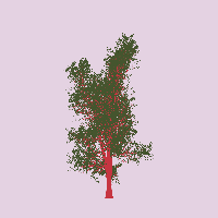 greenshift tree