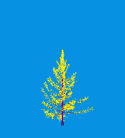 greenshift tree