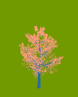 greenshift tree