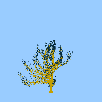 greenshift tree