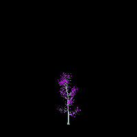 greenshift tree