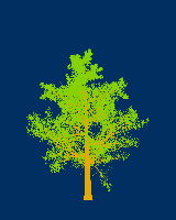 greenshift tree