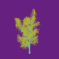 greenshift tree