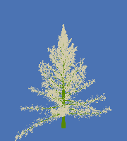 greenshift tree
