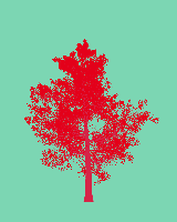 greenshift tree