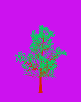greenshift tree