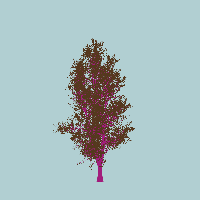 greenshift tree