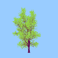 greenshift tree