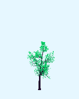 greenshift tree