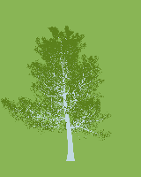greenshift tree