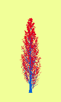 greenshift tree