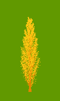 greenshift tree