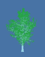 greenshift tree