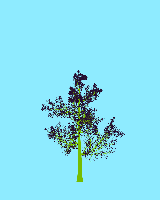 greenshift tree