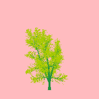 greenshift tree