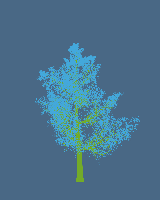 greenshift tree