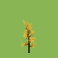 greenshift tree