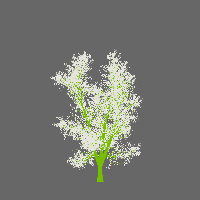 greenshift tree