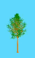 greenshift tree