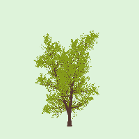 greenshift tree