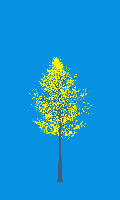 greenshift tree