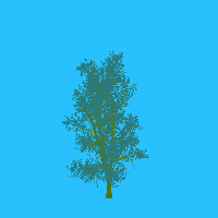greenshift tree