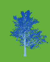 greenshift tree