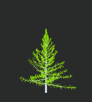greenshift tree