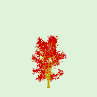 greenshift tree