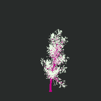 greenshift tree