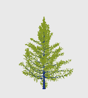 greenshift tree