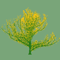 greenshift tree