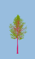 greenshift tree