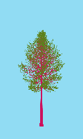 greenshift tree