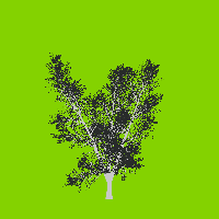 greenshift tree